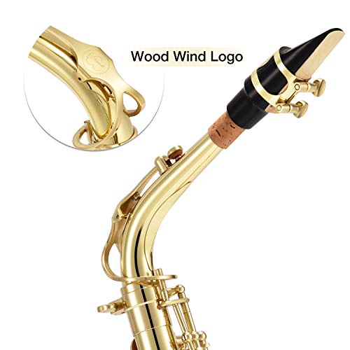 3 Eastar+Student+Saxophone+Carrying+Mouthpiece