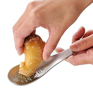 Gember Rasp Lepel Vorm,Lancoon Roestvrij Staal Wasabi Knoflook Slijpen Gereedschap Kaasrasp Citroen Zester Mixer KT37
