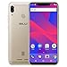 BLU VIVO XL4 6.2