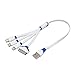 KINGBACK 2 Packs 1 Feet Premium Quality 4 in 1 Multiple USB Charging Cable Adapter Connector with 8 Pin Lighting / 30 Pin / Micro USB / Mini USB Ports for iPhone iPad, LG, Samsung, and More