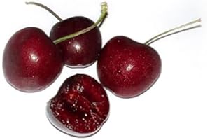 Fresh Dark Sweet Cherries, 2 Pound Package