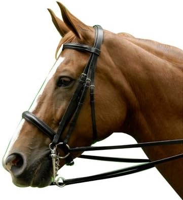 Exselle Dressage Bridle