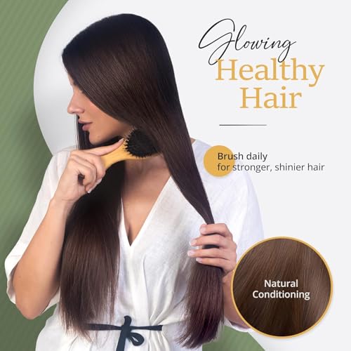 Belula Boar Bristle Hair Brush - Hair Brushes for Women & Mens Hair Brush, Detangler Brush, Hairbrush, Detangling Brush for Long, Curly or Any Type of Hair.