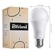 Elfeland Motion Sensor Light Bulb Dusk to Dawn 7W Radar LED Smart Light Motion E26 Base 6500K LED Light Bulbs Indoor Outdoor Auto On/Off Smart Bulb White Night Lights(4 Pack)
