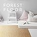 Forest Floor 3/8