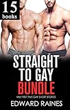 Straight to Gay : 15 Story First Time MM Anthology Collection