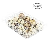 50Pcs Quail Egg Carton Plastic Egg Holders with