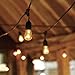 String Light Company Vintage 48-Ft Outdoor Commercial String Lights with 15 Suspended Sockets and 15 Clear S14 Bulbs, 16 Gauge Black Cord