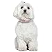 Didog - Cute PU Leather Dog Collar - Rhinestone Flower Pattern Studded - 1 Inch Width Fit Small and Medium Dogs,Pink 12-15