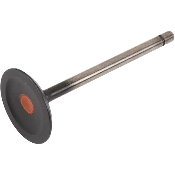 Amazon.com: GM Genuine Parts 12619825 Engine Intake Valve : Automotive