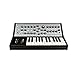 Moog Sub Phatty 25-Key Analog Synthesizer