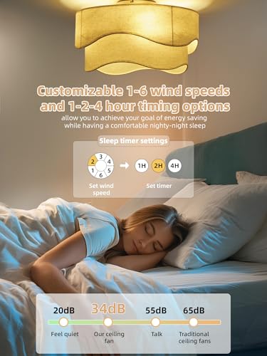 DSYBRI Flush Mount Ceiling Fan with Lights, 20" Low Profile Boho Ceiling Fan with Light Remote Control, Caged with 6 Speeds for Bedroom, Nursery, Living Room