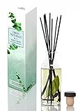 Urban Naturals Eucalyptus Spearmint STRESS RELIEF Reed Diffuser Oil & Reed Sticks Gift Set Air Freshener for Bathroom, Kitchen, Bedroom | Best Relaxation Gift Idea