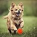 SCIROKKO 12 Pack Dog Squeaky Tennis Balls for Pet Playing Fetching, Orange Attractive Toys - 2.5 inches