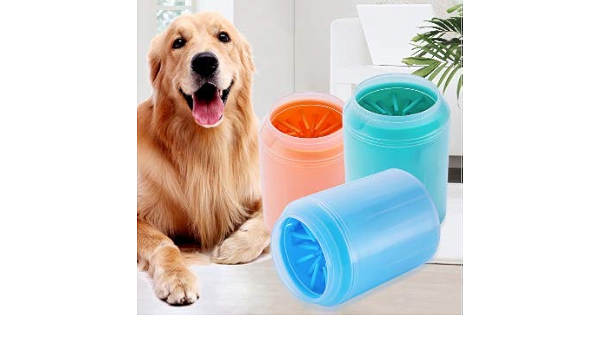 muddy dog feet solutions