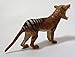 Thylacine Figure, Tasmanian Tiger, Lifelike Wildlife Model, Exquisitely Detailed