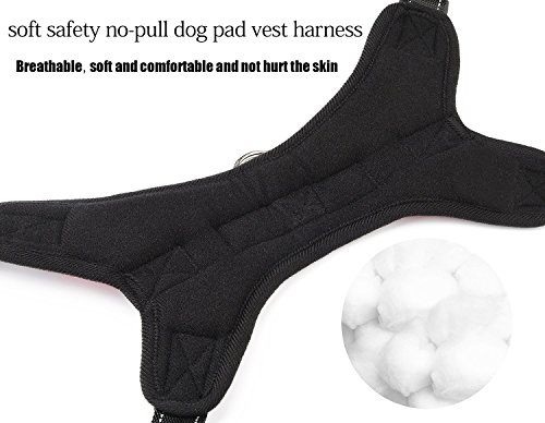 kiwitata Dog Harness- Leash Included,Dog Vest Halter Soft Padded Harness Leashes Set,Adjustable and Durable Harness for Pet All Size Dog Daily Training Walking Running