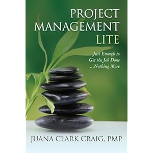 Project Management Lite: Just Enough to Get the Job Done...Nothing More