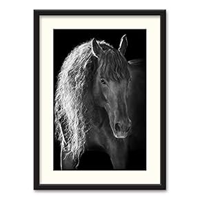 Black Paper Framed Canvas Wall Art for Living Room, Bedroom Horse Theme Canvas Prints for Home Decoration Ready to Hanging - 23x31 inches