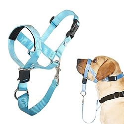 BARKLESS No-Pull Head Collar for Dogs Training