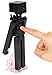 Mattel Minecraft Enderman 5-Inch Figure