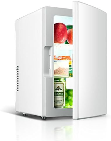 JGWJJ 18L Car Refrigerator, Mini Fridge Mononuclear Refrigeration Car Dual-use Hot And Cold Dual Use 220V AC / 12V DC