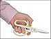 50% Off - Stainless Steel Kitchen Shears – Multi Purpose Kitchen Scissors – Sharp As A Knife