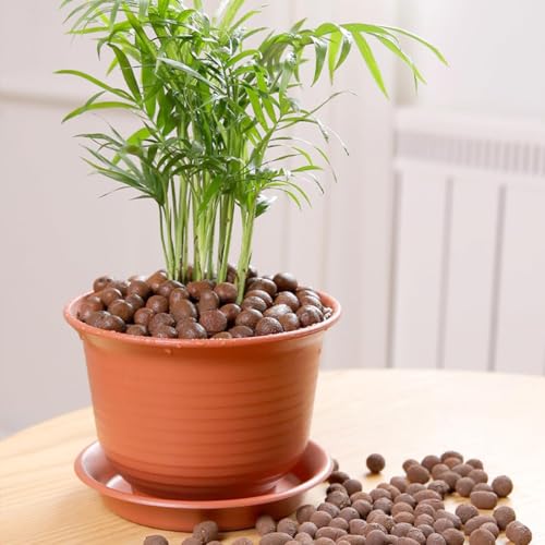 Clay Pebbles for Plants, 8mm-14mm Expanded LECA Balls Plant Garden Soil, Hydroponic, Aquaponics, Natural Leca Balls for Soil Root Development, Orchid Potting Mix, 2.2 Ib
