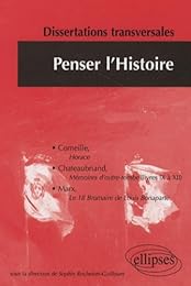 Penser l'histoire