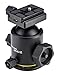 Induro BHD2 Ballhead (Black)