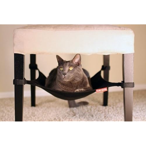 popular amazon products related to Pet Supplies list of amazon products that are Beds & Furniture, under $20, under $25, cool items
