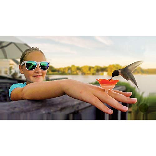 Amazon Com Songbird Essentials Hummer Rings Hummingbird Feeder