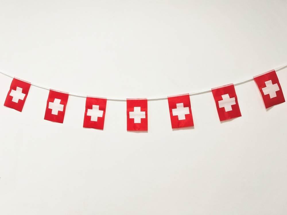 Pandiui23 Switzerland Flag 40pcs, Swiss Garland 11.4M, PVC Rectangular Flags, Red and White, Decorative Bars
