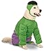 Marvel Universe The Incredible Hulk Big Dog Boutique Costume, XXX-Large
