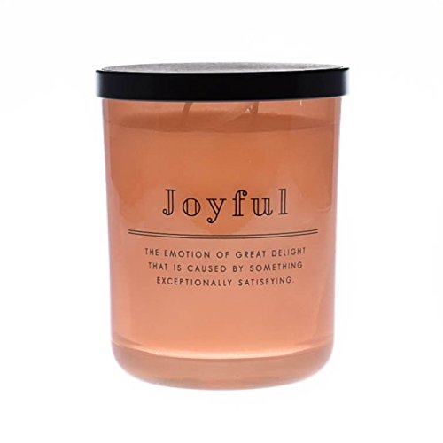 DW Home Decoware Richly Scented Candle Large Double wick Pure Harmony Collection 15.32 oz — Joyful Mandarin