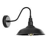 GOALPLUS Black Gooseneck Barn Light for Farmhouse
