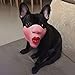 Meidexian888 Fun Mask, Big Lips Headgear for Pet Dogthumb 1