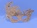RUSVNO Women's Gold Lace Mask Party Ball Masquerade Fancy Dress Masks Pack of 4