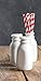 Now Designs Ceramic Milk Bottle, Small, White