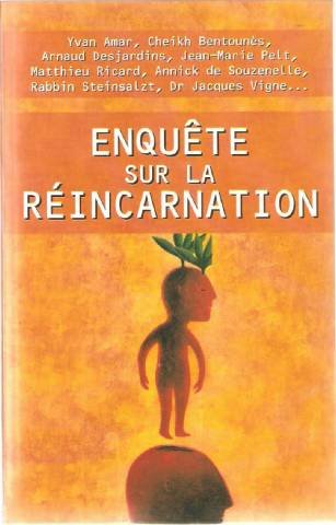 Enquête sur la réincarnation