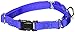 GOGO Pet Products 3/8-Inch Martingale Dog Collar, X-Small, Blue