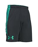 Under Armour Men's Raid Graphic Shorts