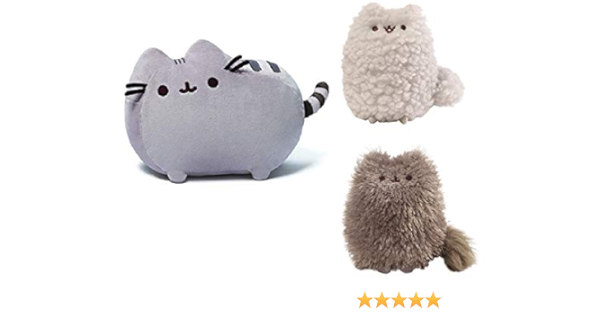 pusheen brother