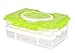 2 Tiers Egg Container Deviled Egg Carrier Eggs Holder with Handle Fridge Freezer Storage by DELIFUR (Green)