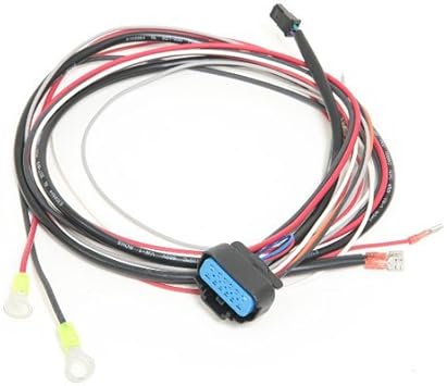 Msd Ignition Msd29774 Replacement Wire Harness For 6al Ignition Box