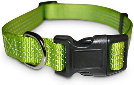 Reflective dog collar - These Reflective dog collars provide oncoming traffic reflected light For personal and dog safety making others aware to protect your dog- By DogsAlive. (Large)