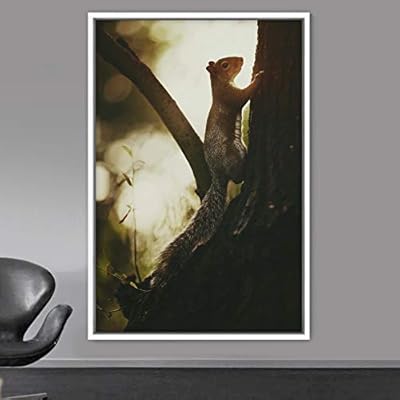 signwin Framed Canvas Wall Art Squirrel Animals Fun...