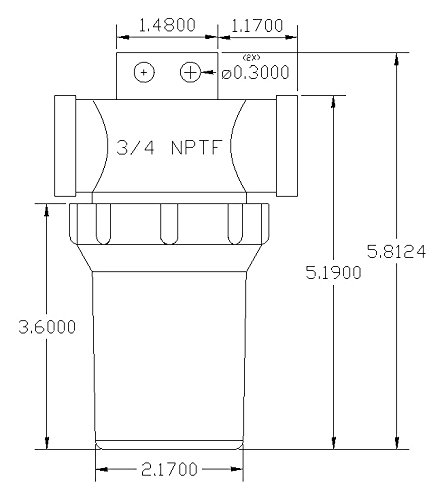 3/4" Female NPT In-Line Strainer with mounting tab and 50 mesh stainless steel screen