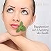 Peppermint Essential Oil - 100% Pure Therapeutic Grade for Hair Growth, Head Aches, Skin, Mice, Relaxation, Diffuser - 10ml