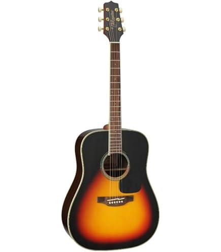 Amazon.com: Takamine GD51-NAT Dreadnought Acoustic Guitar, Natural
